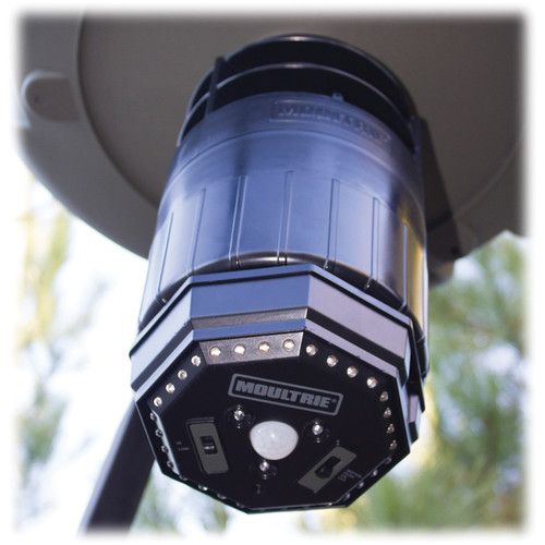  Moultrie Feeder Hog Light for Select Feeders