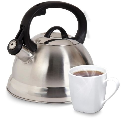  Mr. Coffee Flintshire Whistling Tea Kettle, 1.75-Quart, Stainless steel