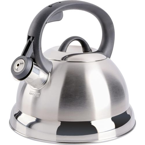  [아마존베스트]Mr. Coffee Flintshire Stainless Steel Whistling Tea Kettle, 1.75-Quart, Brushed Satin