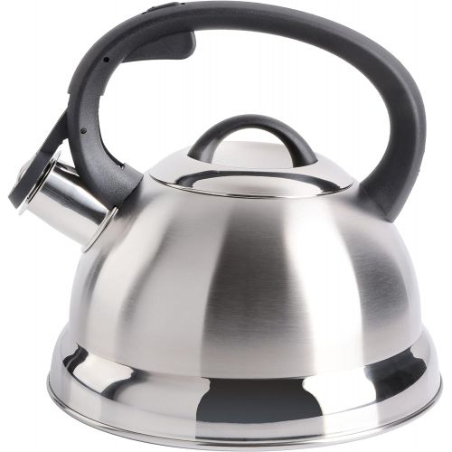  [아마존베스트]Mr. Coffee Flintshire Stainless Steel Whistling Tea Kettle, 1.75-Quart, Brushed Satin