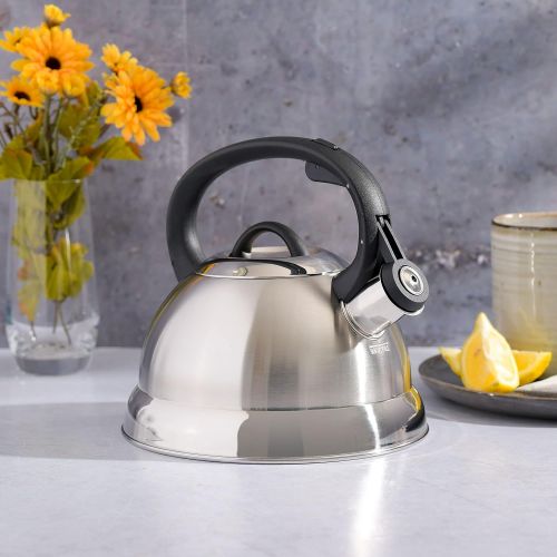  [아마존베스트]Mr. Coffee Flintshire Stainless Steel Whistling Tea Kettle, 1.75-Quart, Brushed Satin