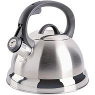 [아마존베스트]Mr. Coffee Flintshire Stainless Steel Whistling Tea Kettle, 1.75-Quart, Brushed Satin