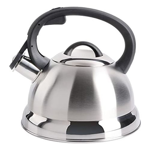  [아마존베스트]Mr. Coffee Flintshire Stainless Steel Whistling Tea Kettle, 1.75-Quart, Brushed Satin