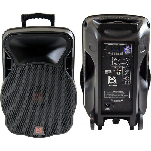  Mr. Dj DSP4000 15 2 Way Portable Speaker with Bluetooth, FM Radio, USBSD & DSP Player Technology