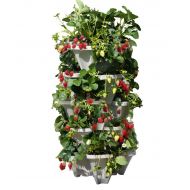 Mr. Stacky 5 Tiered Vertical Gardening Planter, Indoor & Outdoor