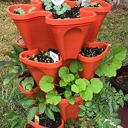  LARGE Vertical Gardening Stackable Planters by Mr. Stacky - Grow More Using Limited Space And Minimum Effort - Plant. Stack. Enjoy. - Build Your Own Backyard Vertical Garden - DIY