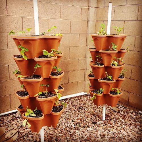  LARGE Vertical Gardening Stackable Planters by Mr. Stacky - Grow More Using Limited Space And Minimum Effort - Plant. Stack. Enjoy. - Build Your Own Backyard Vertical Garden - DIY