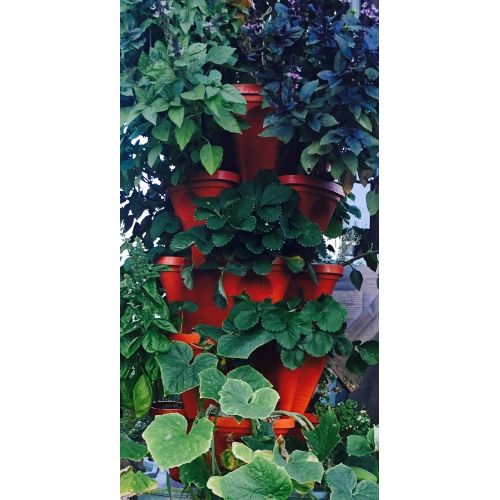  LARGE Vertical Gardening Stackable Planters by Mr. Stacky - Grow More Using Limited Space And Minimum Effort - Plant. Stack. Enjoy. - Build Your Own Backyard Vertical Garden - DIY