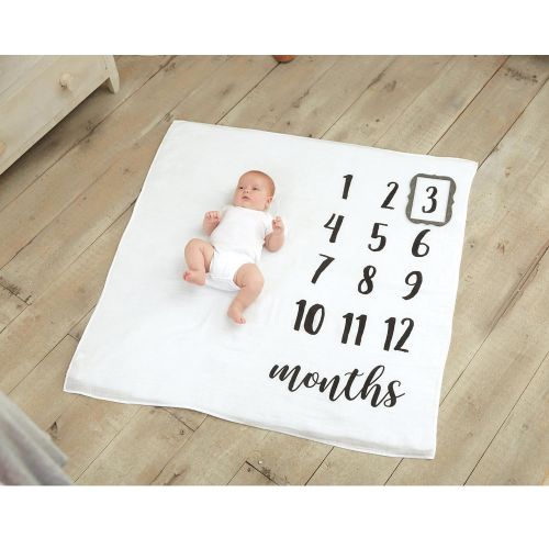  Mud Pie Monthly Milestone Blanket Photo Prop Set