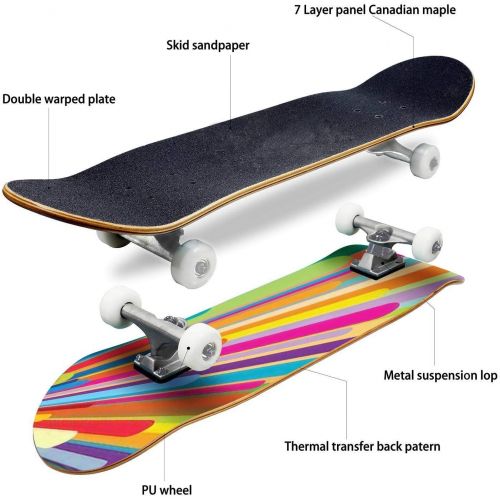  Mulluspa Classic Concave Skateboard Colorful Retro Vector Background Longboard Maple Deck Extreme Sports and Outdoors Double Kick Trick for Beginners and Professionals