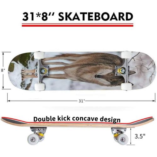  Mulluspa Classic Concave Skateboard Grey Wolf, Canis Lupus Longboard Maple Deck Extreme Sports and Outdoors Double Kick Trick for Beginners and Professionals