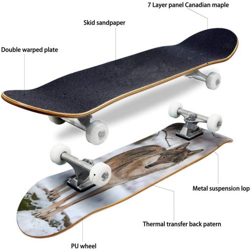  Mulluspa Classic Concave Skateboard Grey Wolf, Canis Lupus Longboard Maple Deck Extreme Sports and Outdoors Double Kick Trick for Beginners and Professionals