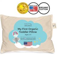 My Little North Star Toddler Pillow - Organic Cotton Made in USA - Washable Unisex Kids Pillow - 13X18