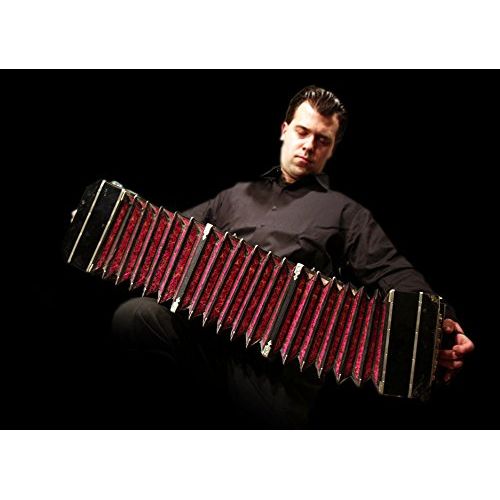  The Feather-2 Accordion Pickup with 2 Flexible Micro-Goosenecks by Myers Pickups