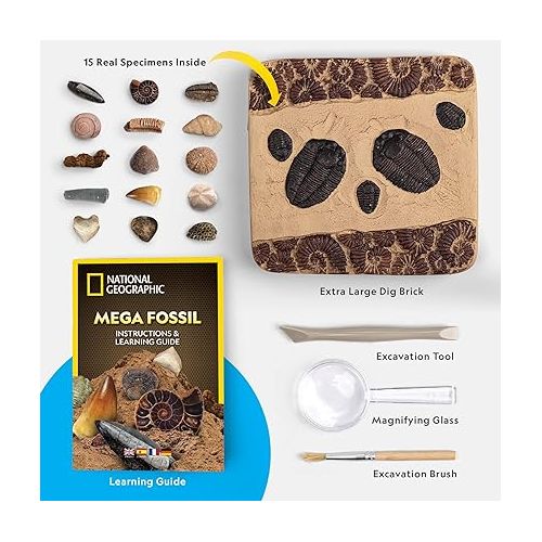  NATIONAL GEOGRAPHIC Mega Fossil Dig Kit - Excavate 15 Genuine Prehistoric Fossils, Kids Educational Toys, Great Science Kit Gift for Girls and Boys (Amazon Exclusive)