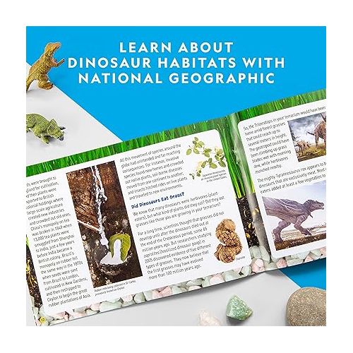  NATIONAL GEOGRAPHIC Light Up Terrarium Kit for Kids - Build a Dinosaur Habitat with Real Plants & Fossils, Science Kit, Dinosaur Toys for Kids (Amazon Exclusive)