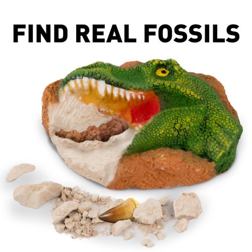  NATIONAL GEOGRAPHIC Dino Fossil Dig Kit  Excavate 3 real fossils including Dinosaur Bones & Mosasaur Teeth - Great Jurassic Science gift for Paleontology and Archeology enthusiast