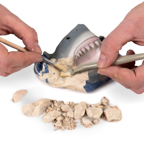  NATIONAL GEOGRAPHIC Shark Tooth Dig Kit - Excavate 3 real Shark Tooth Fossils including Sand Tiger, Otodus and Crow Shark - Great Science Gift for Marine Biology Enthusiasts of any