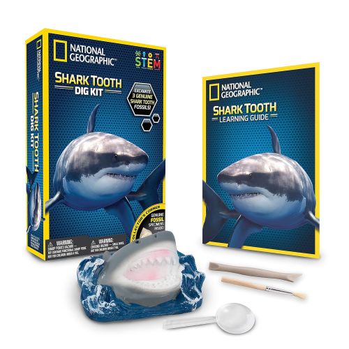  NATIONAL GEOGRAPHIC Shark Tooth Dig Kit - Excavate 3 real Shark Tooth Fossils including Sand Tiger, Otodus and Crow Shark - Great Science Gift for Marine Biology Enthusiasts of any