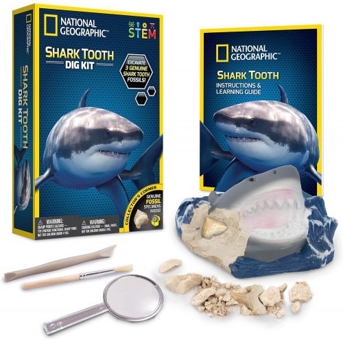  [아마존베스트]NATIONAL GEOGRAPHIC Shark Tooth Dig Kit - Excavate 3 real Shark Tooth Fossils including Sand Tiger, Otodus and Crow Shark - Great Science Gift for Marine Biology Enthusiasts of any