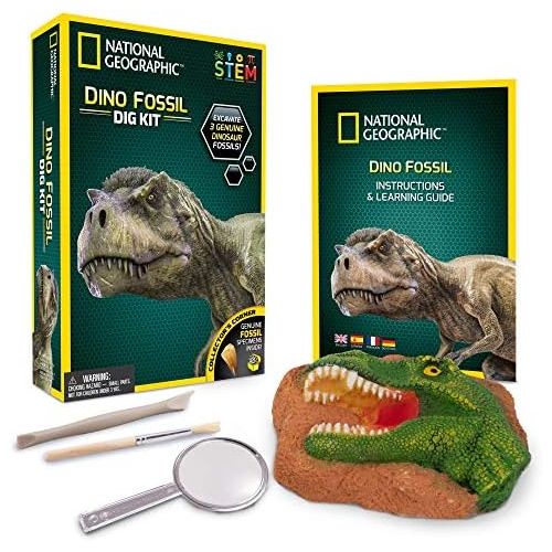 [아마존베스트]NATIONAL GEOGRAPHIC Dino Fossil Dig Kit  Excavate 3 real fossils including Dinosaur Bones & Mosasaur Teeth - Great Jurassic Science gift for Paleontology and Archeology enthusiast
