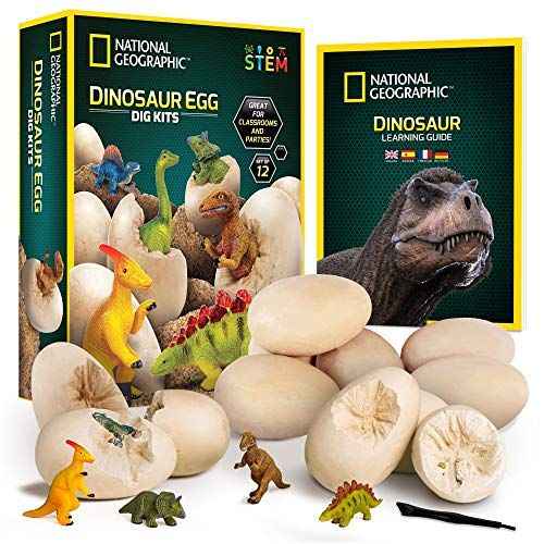  NATIONAL GEOGRAPHIC Dinosaur Dig Kit  12 Dino Shaped Dig Bricks with Dinosaur Figures Inside, 12 Excavation Tool Sets, Perfect Activity for Egg Hunt or Dig Party, Great STEM Toy f