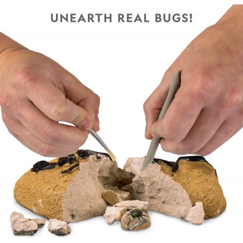  NATIONAL GEOGRAPHIC Real Bug Dig Kit - Dig up 3 Real Insects including Spider, Fortune Beetle and Scorpion - Great STEM Science gift