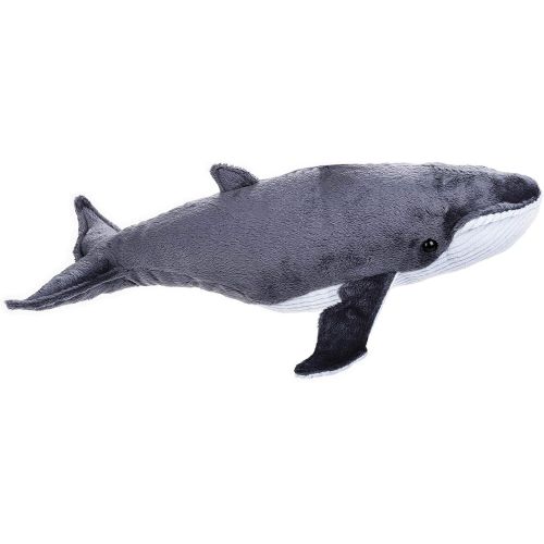  NATIONAL GEOGRAPHIC Baleen Whale Plush - Medium Size