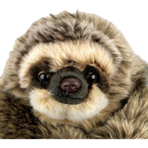  National Geographic Sloth Plush - Medium Size