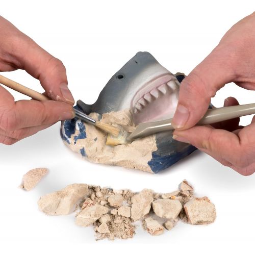  NATIONAL GEOGRAPHIC 80473 Shark Teeth Dig Kit