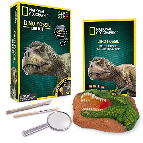  NATIONAL GEOGRAPHIC Dino Fossil Dig Kit  Excavate 3 real fossils including Dinosaur Bones & Mosasaur Teeth - Great Jurassic Science gift for Paleontology and Archeology enthusiast