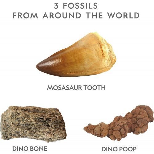  NATIONAL GEOGRAPHIC Dino Fossil Dig Kit  Excavate 3 real fossils including Dinosaur Bones & Mosasaur Teeth - Great Jurassic Science gift for Paleontology and Archeology enthusiast