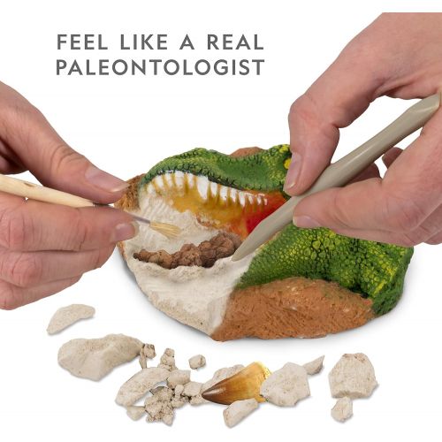  NATIONAL GEOGRAPHIC Dino Fossil Dig Kit  Excavate 3 real fossils including Dinosaur Bones & Mosasaur Teeth - Great Jurassic Science gift for Paleontology and Archeology enthusiast