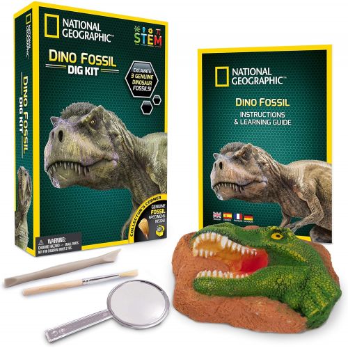  NATIONAL GEOGRAPHIC Dino Fossil Dig Kit  Excavate 3 real fossils including Dinosaur Bones & Mosasaur Teeth - Great Jurassic Science gift for Paleontology and Archeology enthusiast