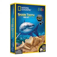 NATIONAL GEOGRAPHIC Shark Tooth Dig Kit - Excavate 3 real Shark Tooth Fossils including Sand Tiger, Otodus and Crow Shark - Great Science Gift for Marine Biology Enthusiasts of any