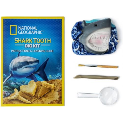  NATIONAL GEOGRAPHIC Shark Tooth Dig Kit - Excavate 3 real Shark Tooth Fossils including Sand Tiger, Otodus and Crow Shark - Great Science Gift for Marine Biology Enthusiasts of any