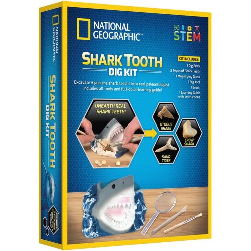  NATIONAL GEOGRAPHIC Shark Tooth Dig Kit - Excavate 3 real Shark Tooth Fossils including Sand Tiger, Otodus and Crow Shark - Great Science Gift for Marine Biology Enthusiasts of any