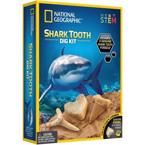  NATIONAL GEOGRAPHIC Shark Tooth Dig Kit - Excavate 3 real Shark Tooth Fossils including Sand Tiger, Otodus and Crow Shark - Great Science Gift for Marine Biology Enthusiasts of any