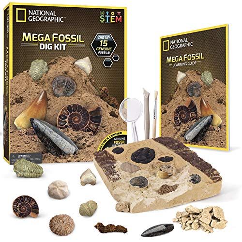  [아마존베스트]NATIONAL GEOGRAPHIC Mega Fossil Dig Kit  Excavate 15 Real Fossils Including Dinosaur Bones & Shark Teeth, Educational Toys, Great Gift for Girls and Boys, an AMAZON EXCLUSIVE Scie