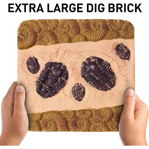  [아마존베스트]NATIONAL GEOGRAPHIC Mega Fossil Dig Kit  Excavate 15 Real Fossils Including Dinosaur Bones & Shark Teeth, Educational Toys, Great Gift for Girls and Boys, an AMAZON EXCLUSIVE Scie