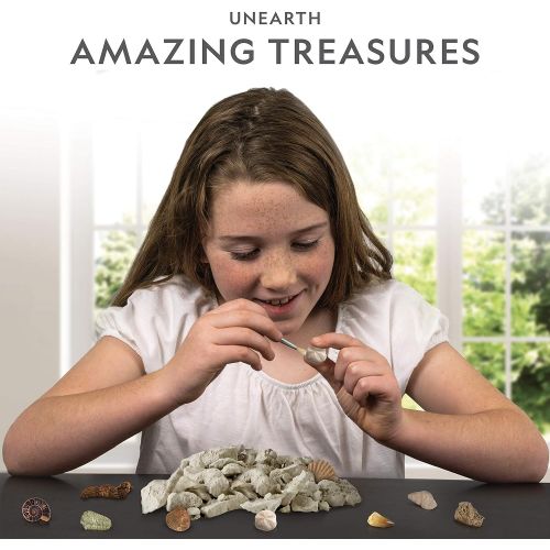  [아마존베스트]NATIONAL GEOGRAPHIC Mega Fossil Dig Kit  Excavate 15 Real Fossils Including Dinosaur Bones & Shark Teeth, Educational Toys, Great Gift for Girls and Boys, an AMAZON EXCLUSIVE Scie