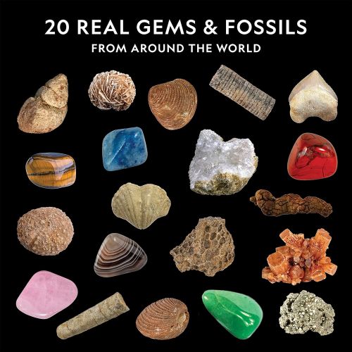  [아마존베스트]NATIONAL GEOGRAPHIC Rock & Fossil Collection - Rock Collection for Kids, 20 Rocks and Fossils with Shark Teeth, Agate, Rose Quartz, Jasper, Coral, & More, Great STEM Science Kit fo