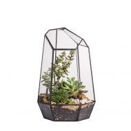 NCYP 9.8inches Height Indoor Tabletop Irregular Glass Geometric Air Plants Terrarium Box Desktop Display Planter Succulent Holder Flower Pot for Fern Moss DIY