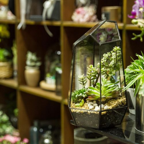  NCYP 9.8inches Height Indoor Tabletop Irregular Glass Geometric Air Plants Terrarium Box Desktop Display Planter Succulent Holder Flower Pot for Fern Moss DIY