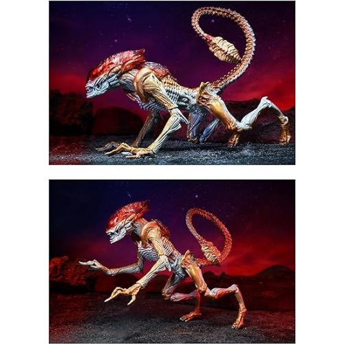 네카 Aliens: Kenner Tribute Ultimate Panther Alien 7