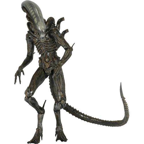 네카 NECA Aliens - Series 6 Isolation Xenomorph Action Figure (7 Scale)