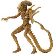 Aliens Neca Sewer Mutation Warrior Alien (SDCC 2017 Exclusive)