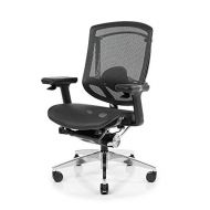 NEUE NeueChair Silver | Ergonomic Office Computer Chair (Subsidiary of Secretlab)