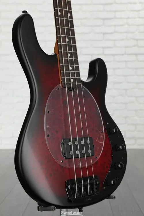  NEW
? Sterling By Music Man StingRay RAY34 Bass Guitar - Dark Scarlet Burst Satin