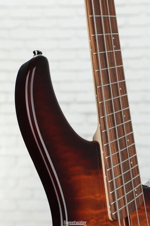  NEW
? Dingwall Guitars Combustion 4-string Electric Bass - Vintage Burst with Pau Ferro Fingerboard